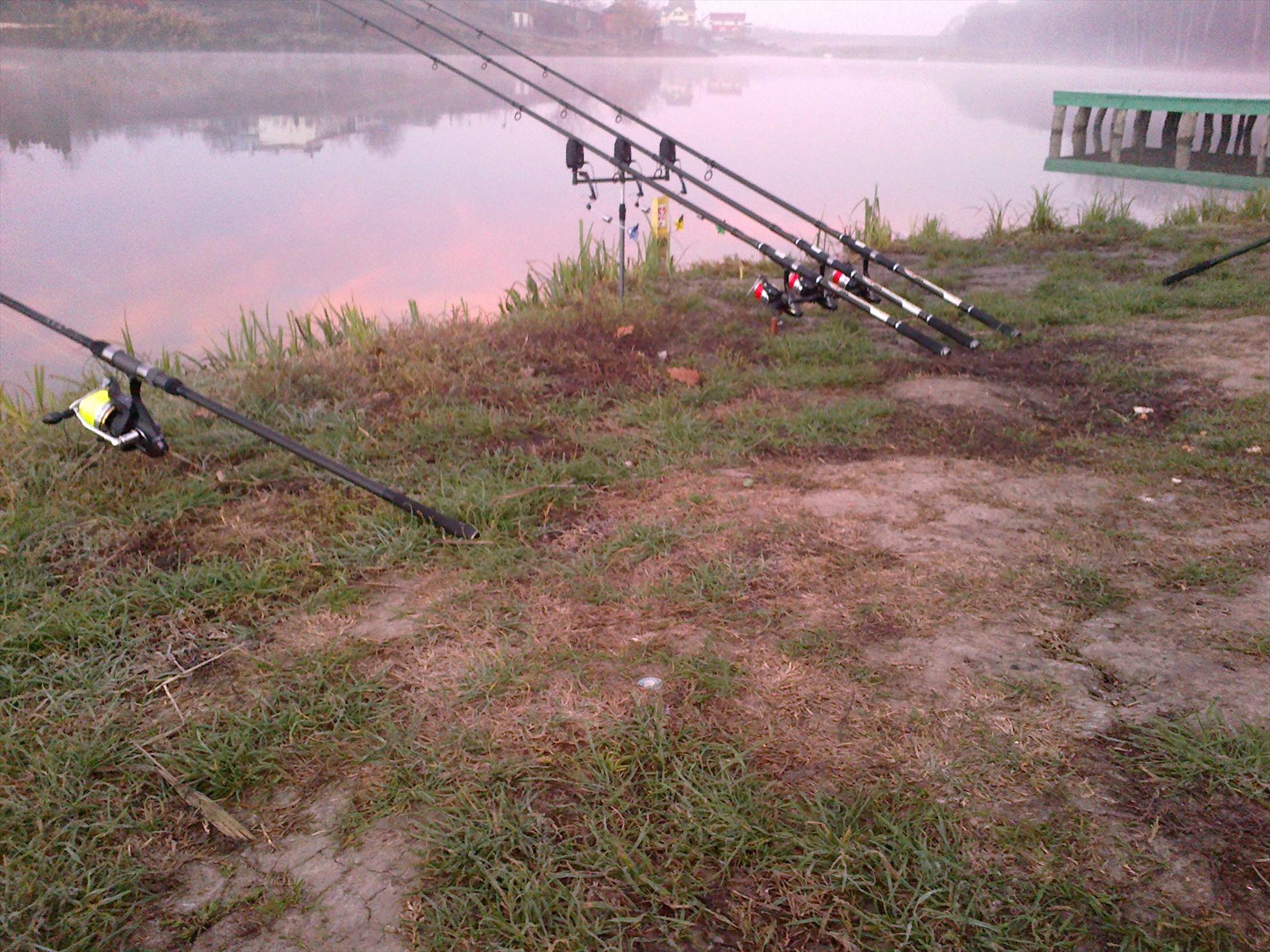 pescuit M.Vlasiei  2012 - 29112012836.jpg